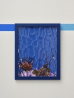 Seahorse Tank 28_5.jpg